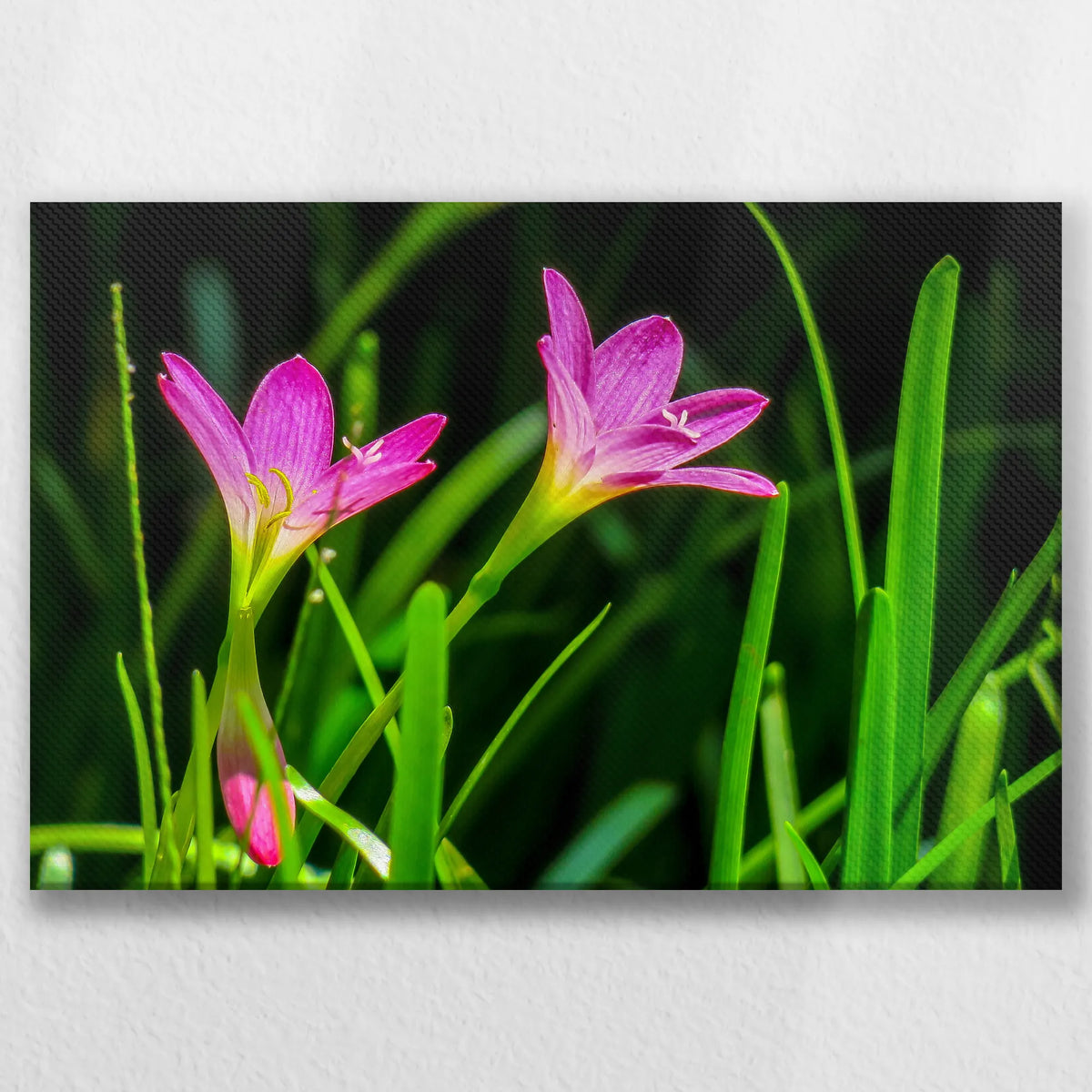 LW-045W030