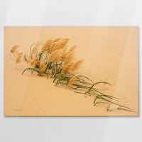 AC-075W050