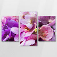 AC-090T060