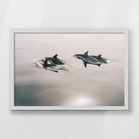 LWW060W040