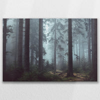 LW-075W050