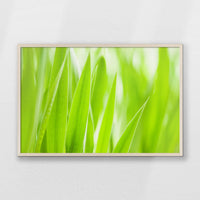 PN-093W062