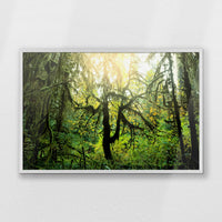PW-093W062
