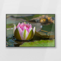 PB-120W080