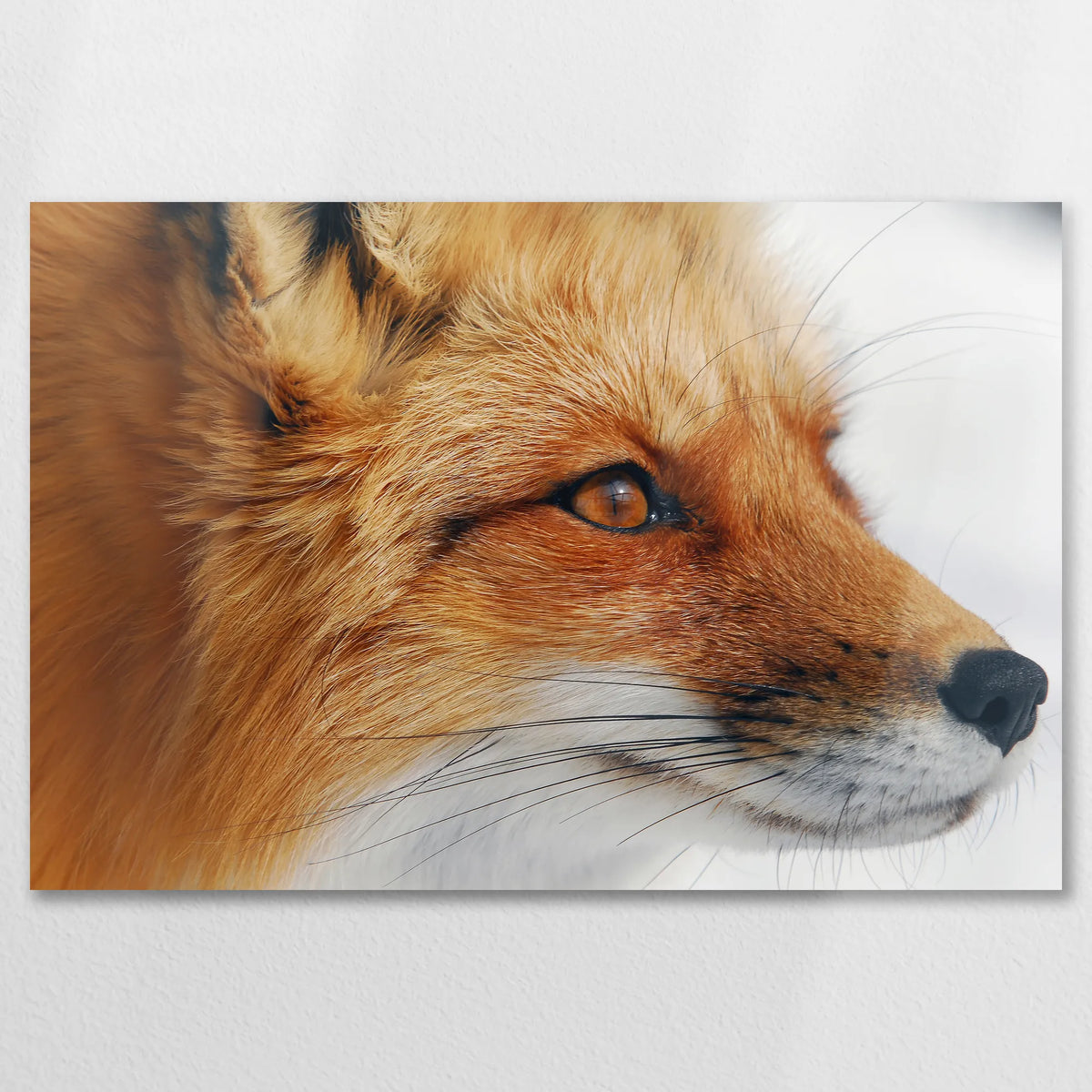 AL-075W050