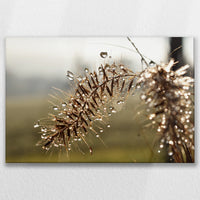 LW-075W050