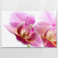 AC-075W050