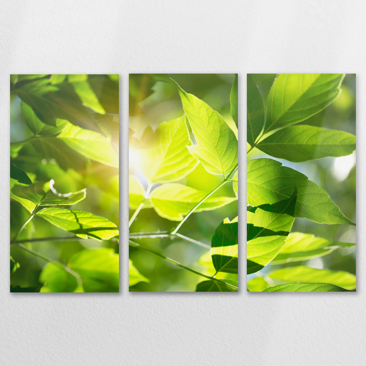 AL-120R080
