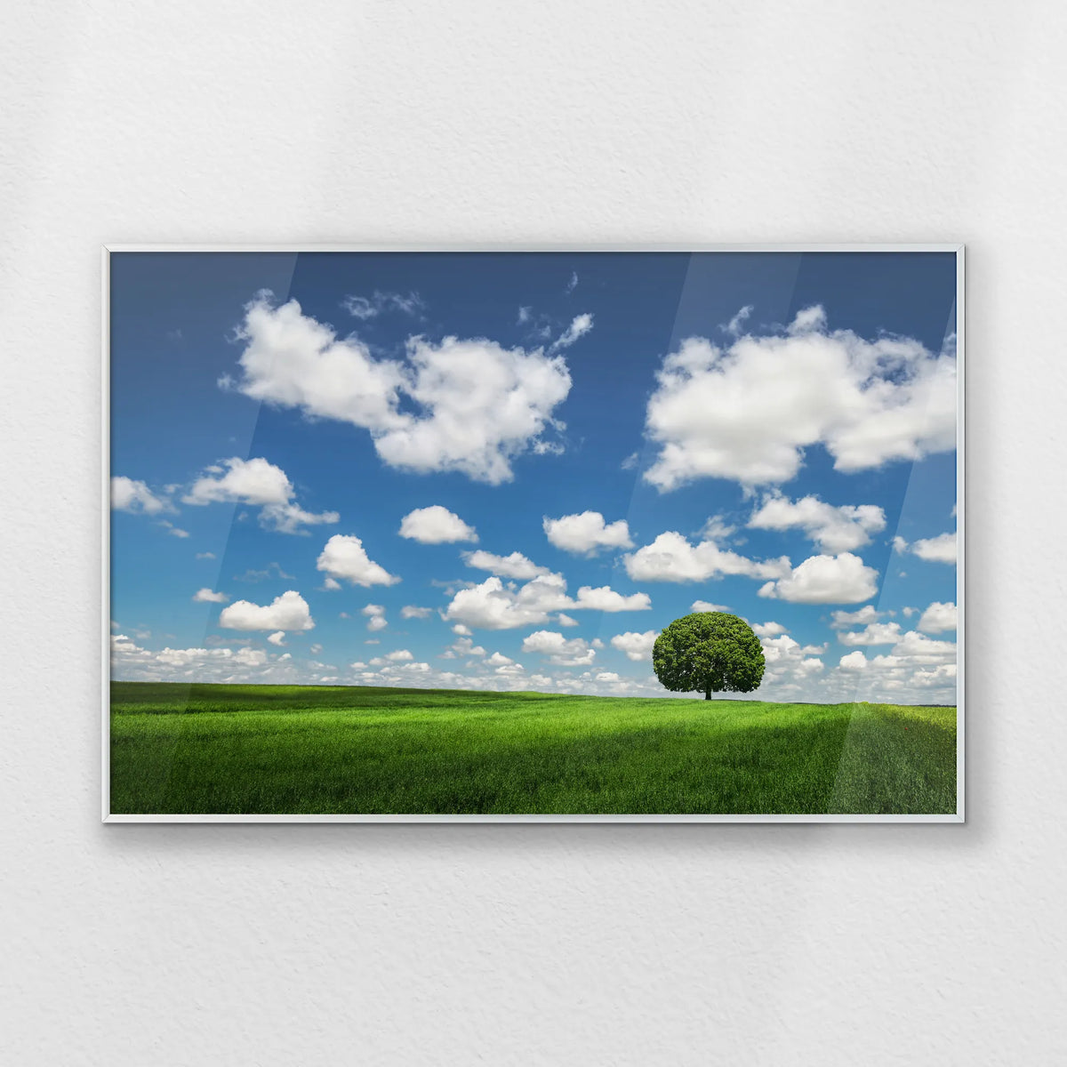 PS-093W062