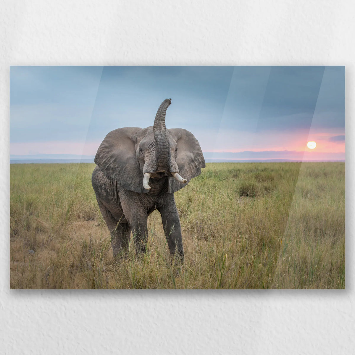 AC-045W030