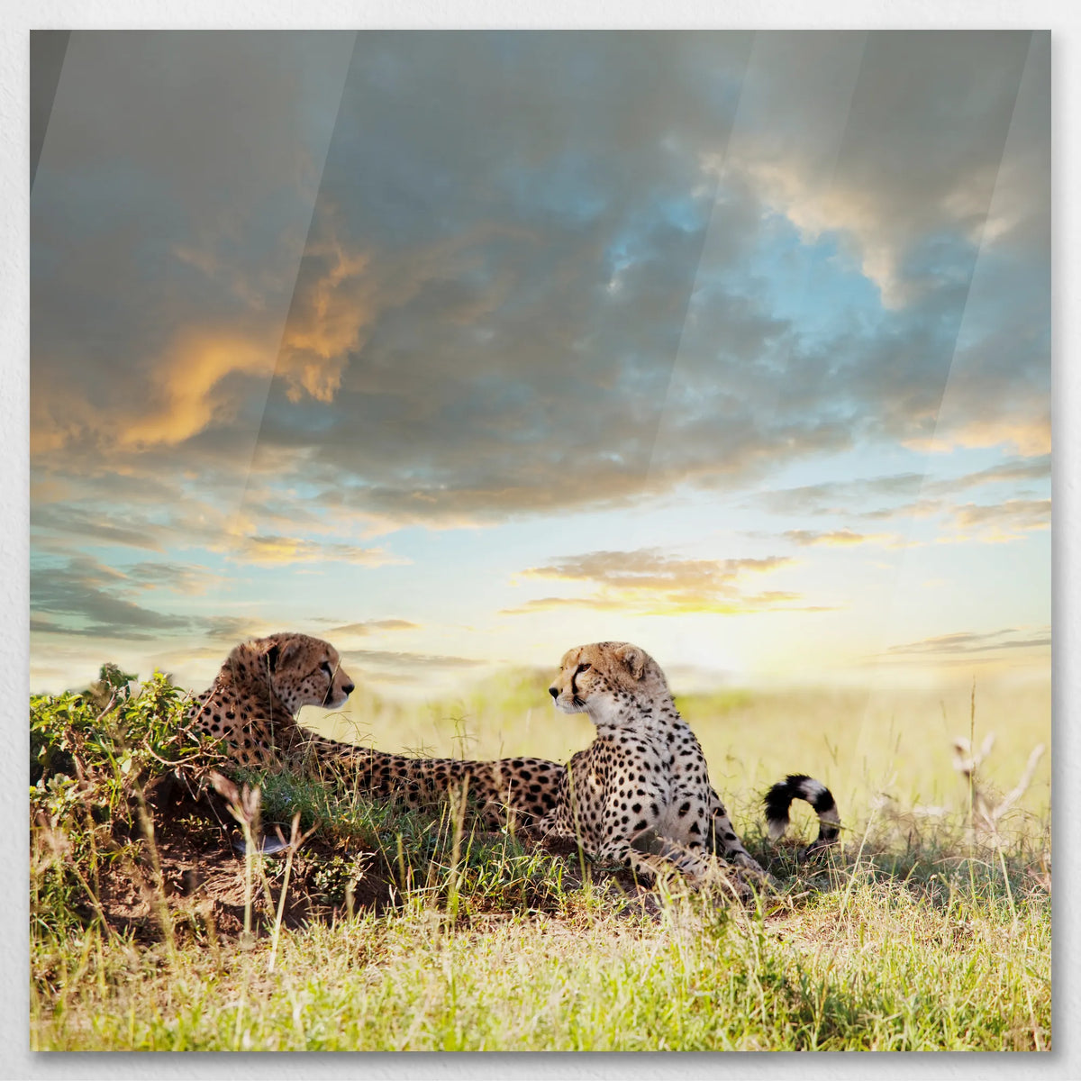 AC-090W090