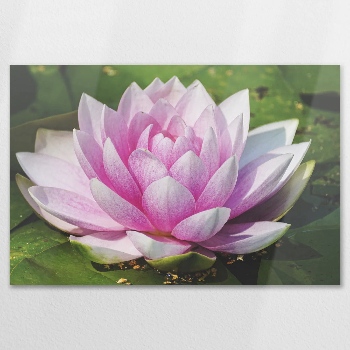 AL-120W080