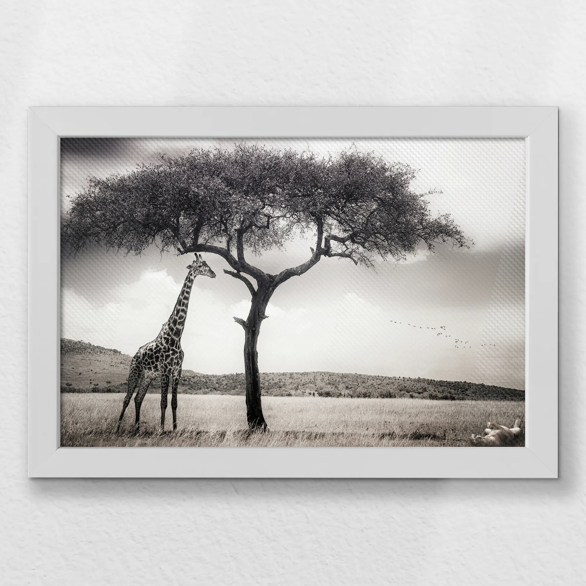LWW030W020