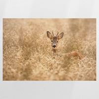 PO-090W060
