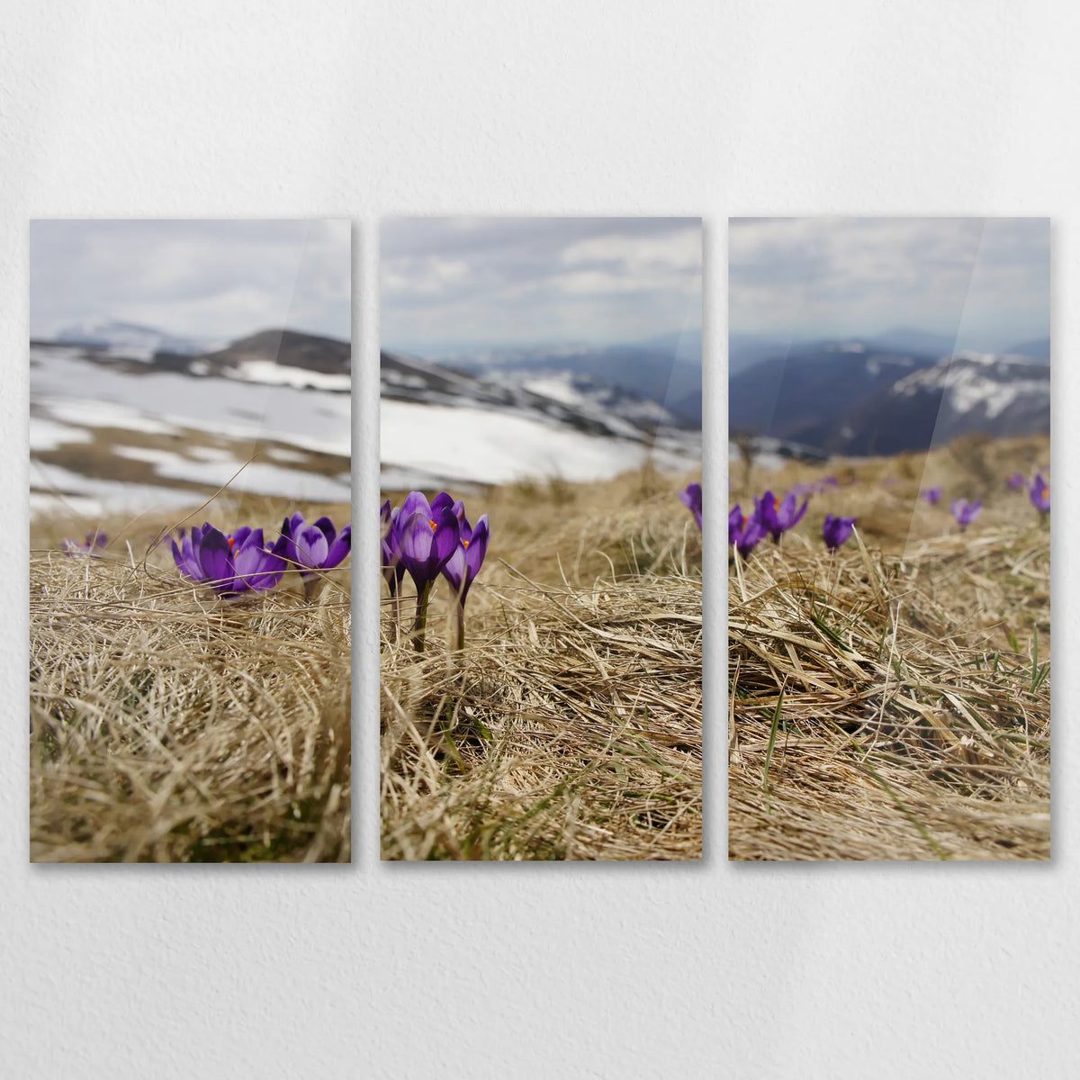 AC-150R100