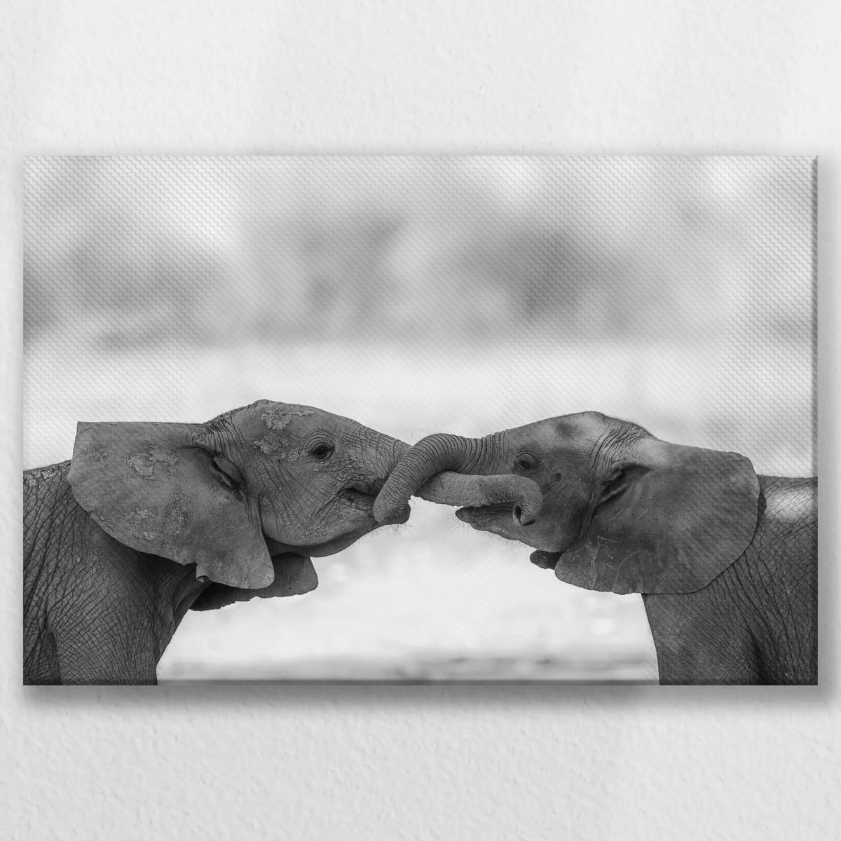 LW-045W030