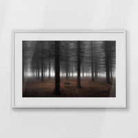 PWP093W062