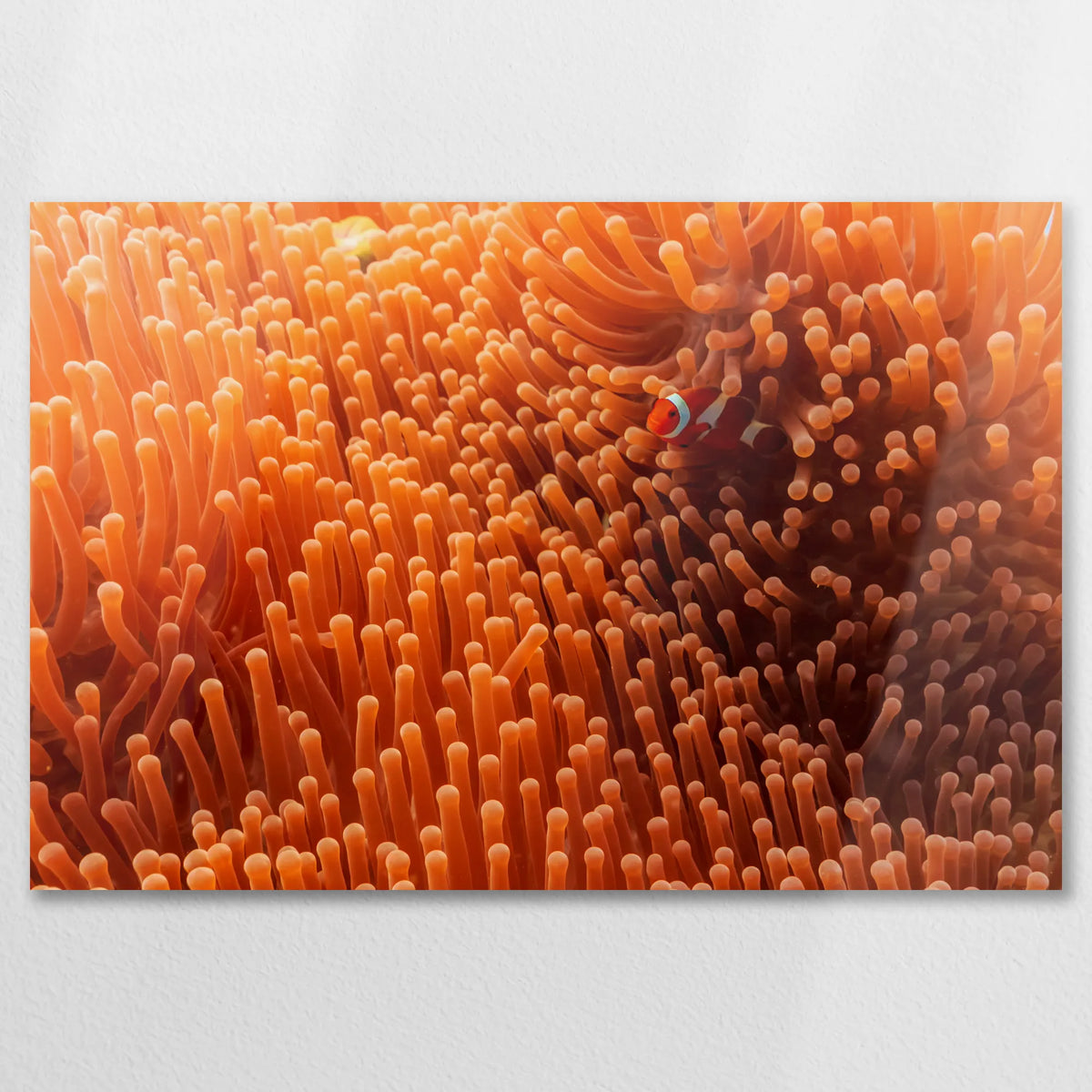 AL-090W060
