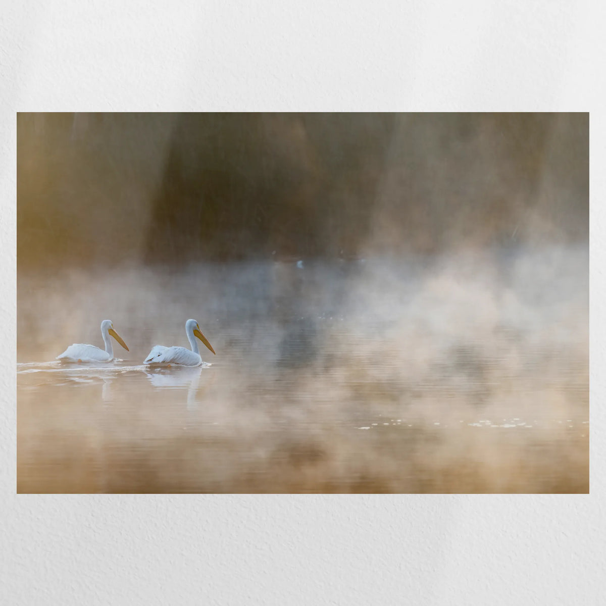 PO-075W050