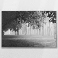 LW-075W050