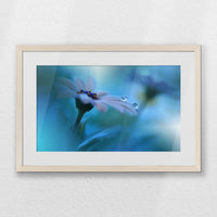 PNP060W040