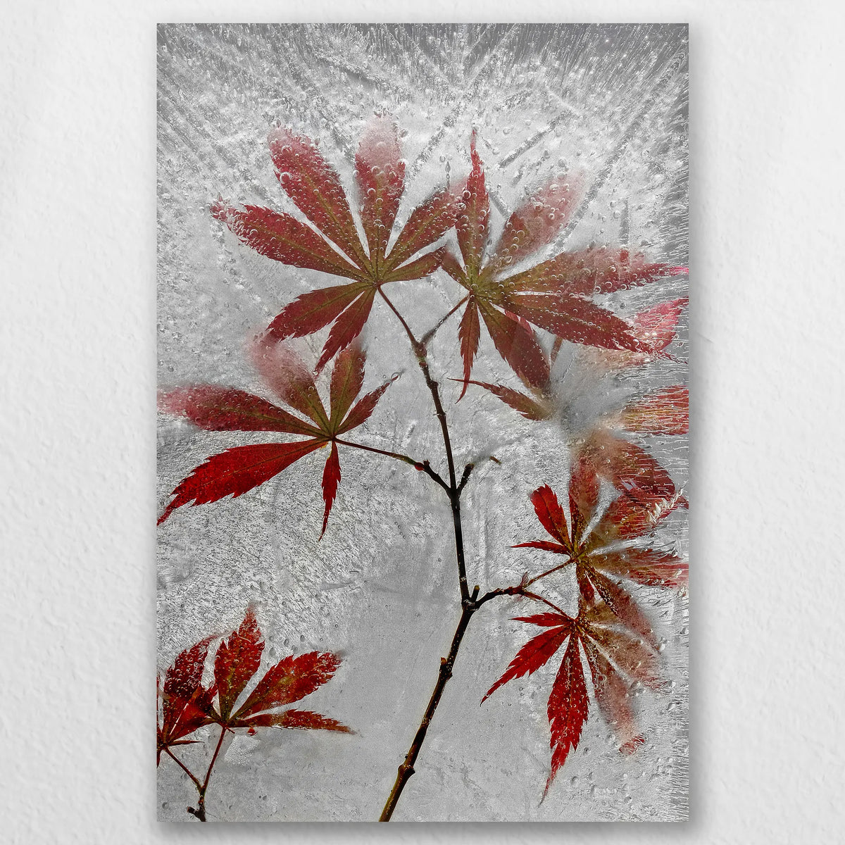 AC-050W075