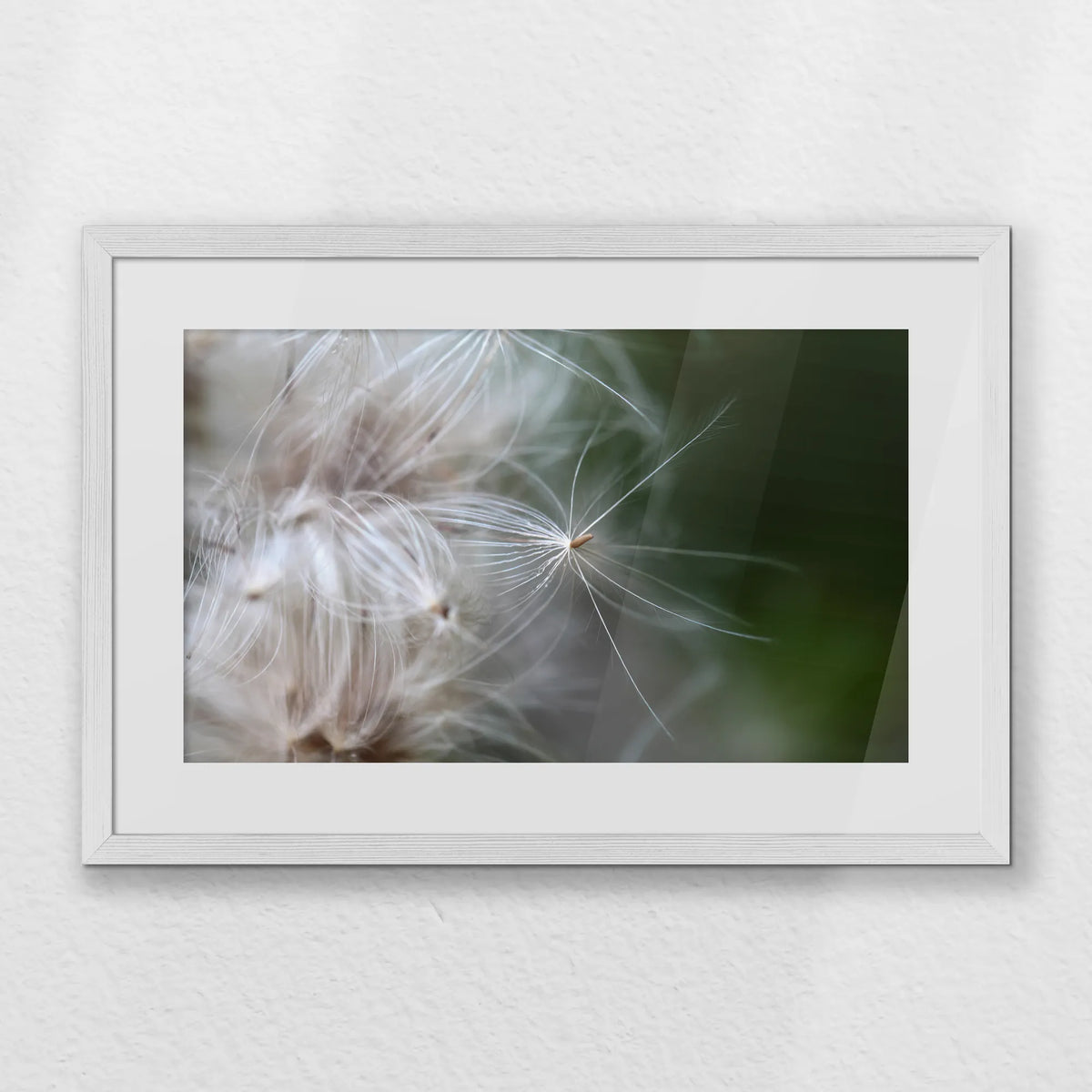 PWP060W040