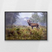 PB-060W040