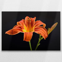 LW-090W060