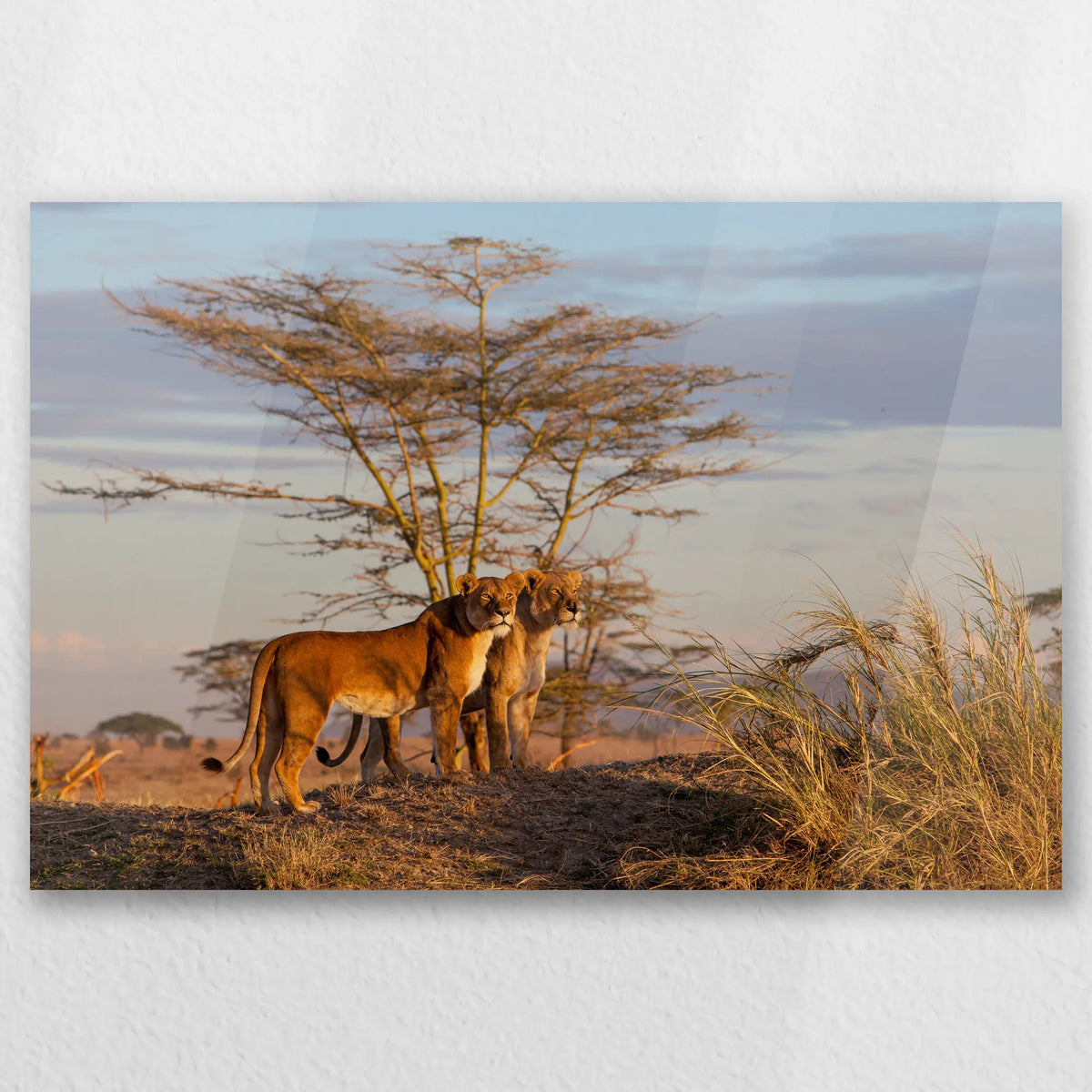 AC-045W030