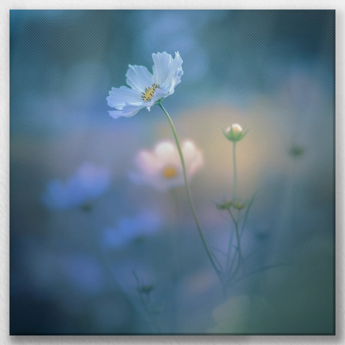 LW-060W060