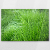 AC-030W020