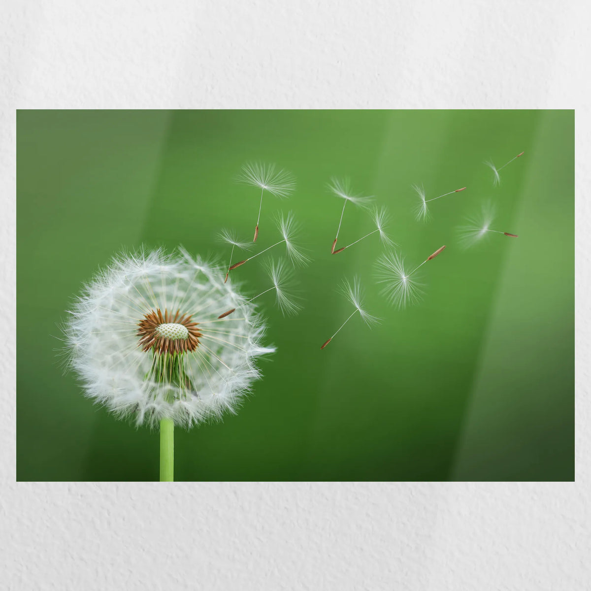 PO-045W030