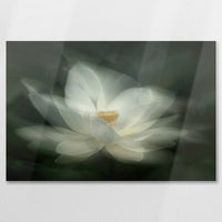 AL-075W050