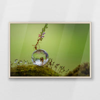 PN-093W062