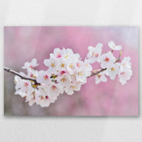 AC-060W040
