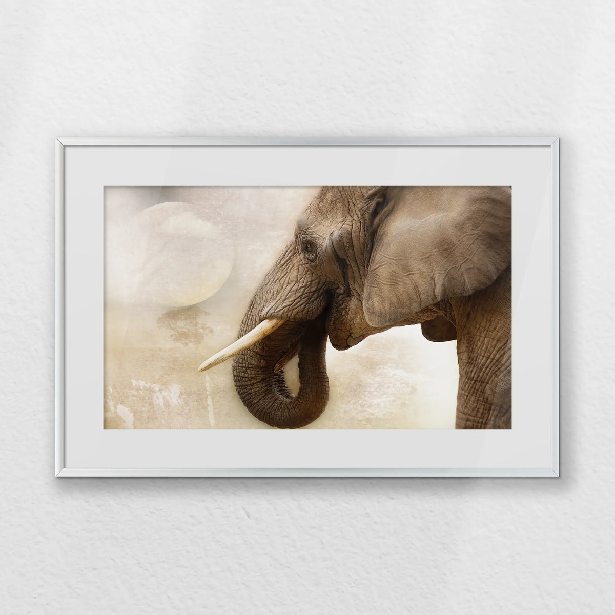 PSP060W040