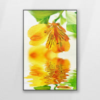 PB-080W120