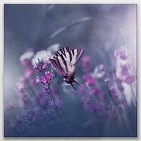 LW-070W070