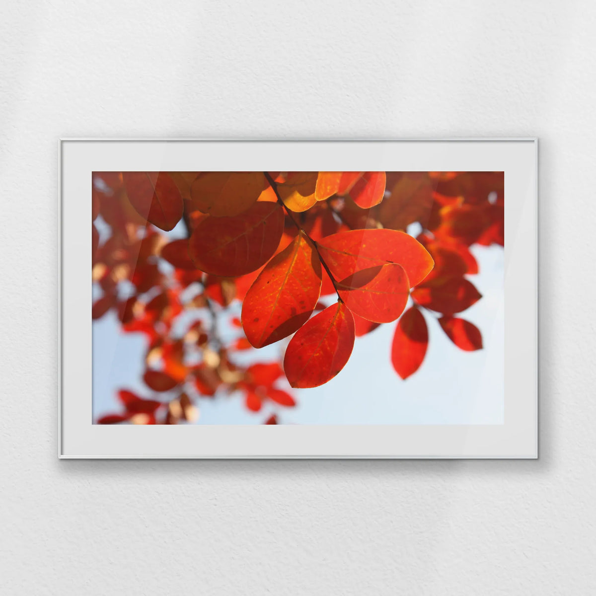 PSP120W080