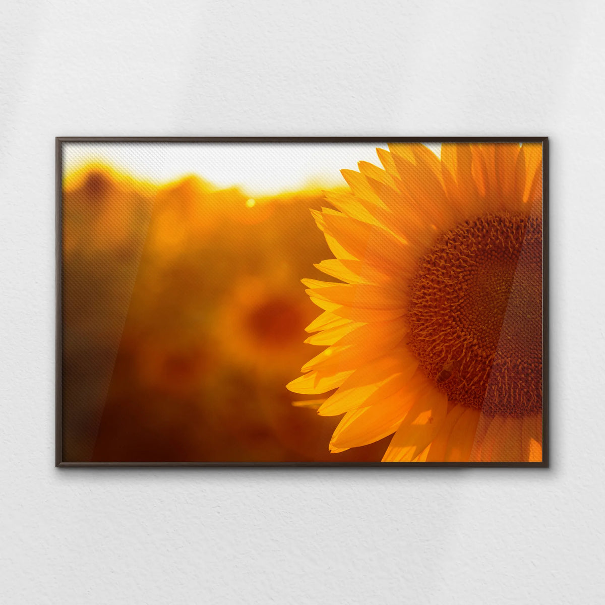 LWN120W080