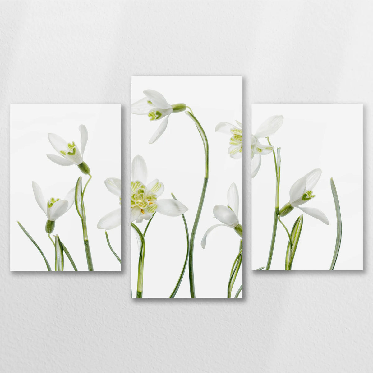 AL-090T060