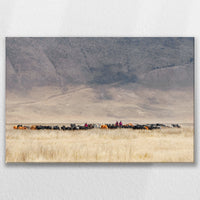LW-075W050