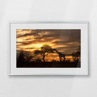 PSP060W040