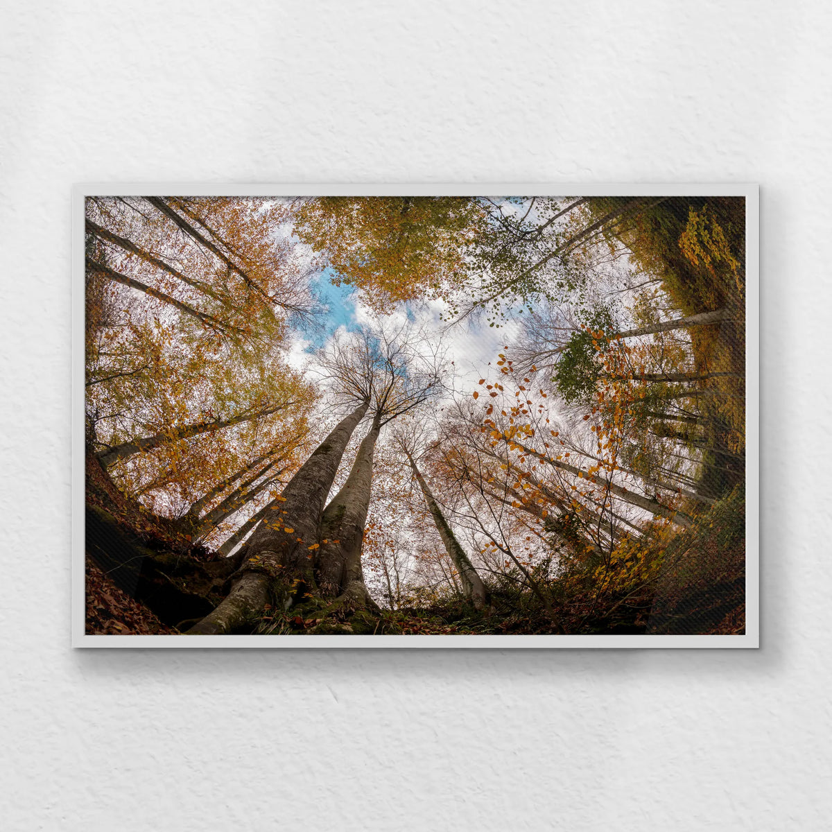LWW100W070
