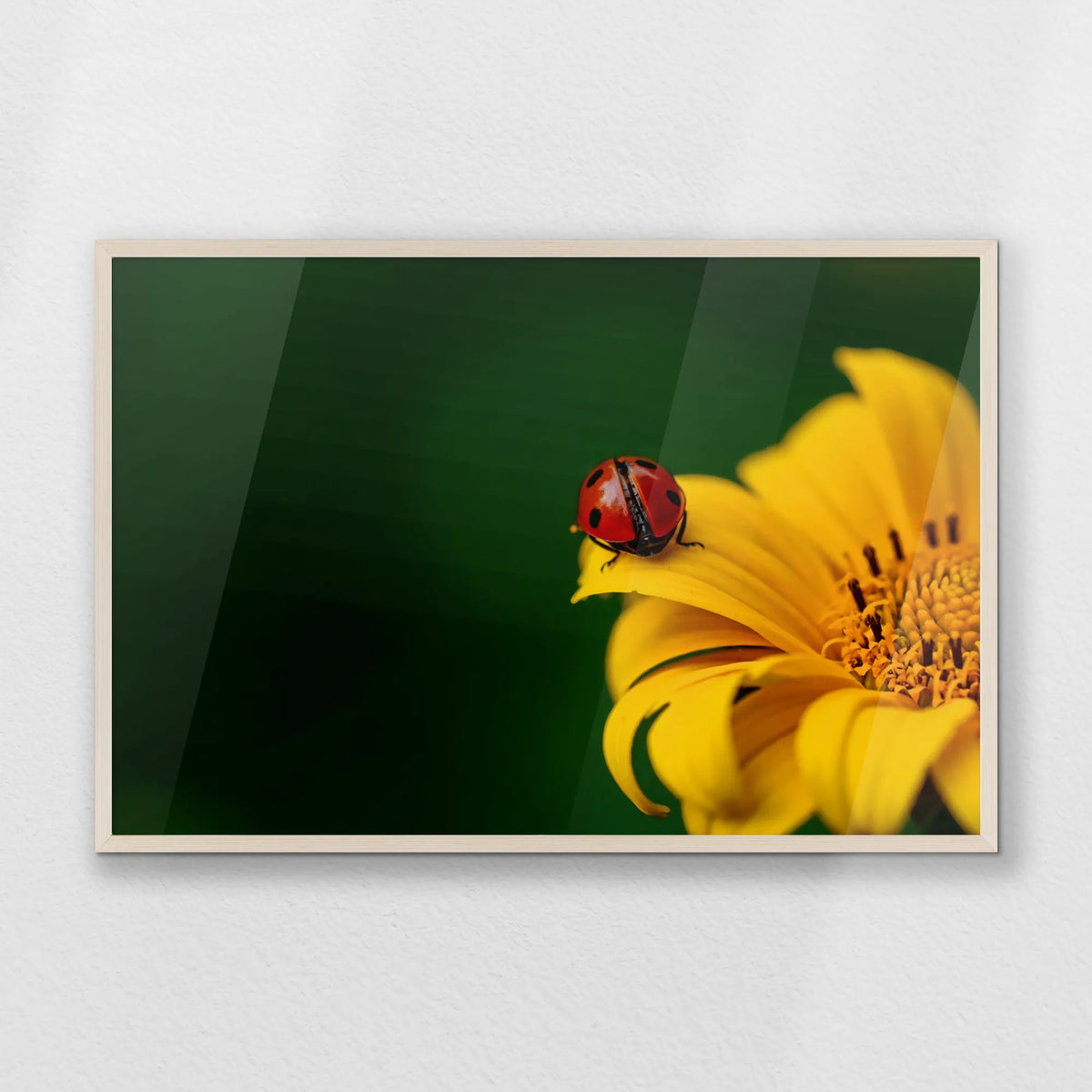 PN-093W062