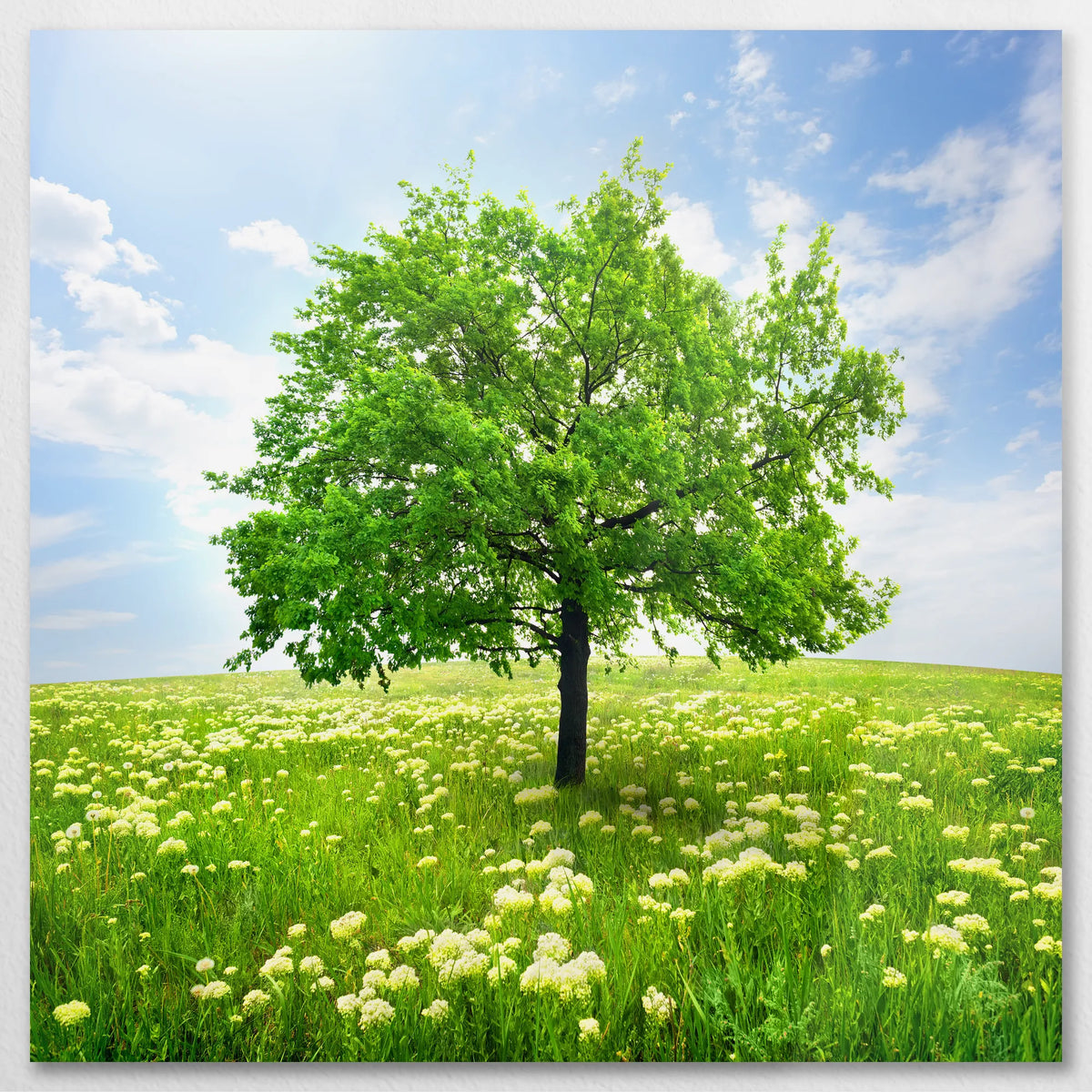 AL-090W090