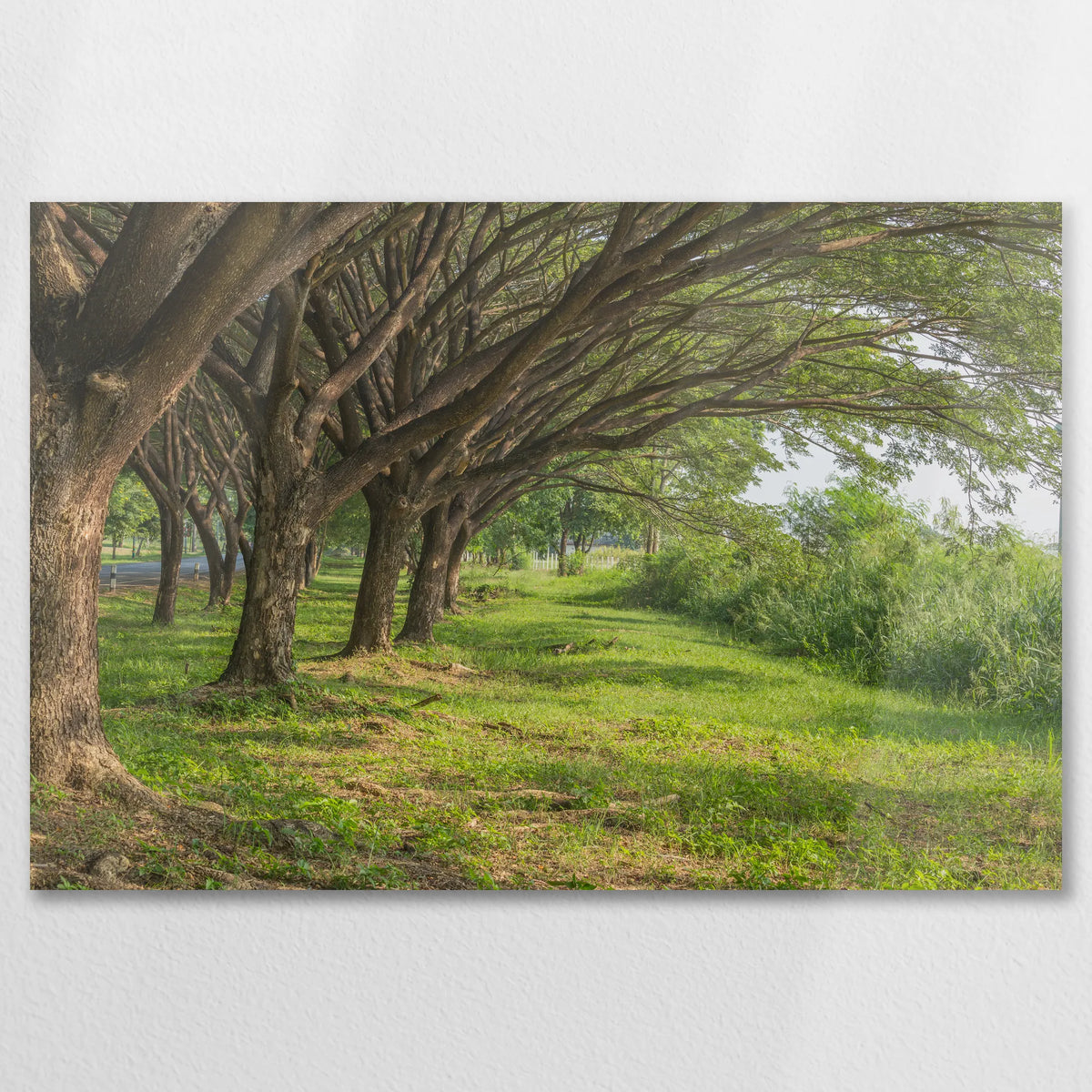 AL-090W060
