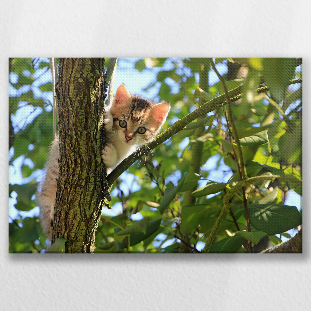 LW-045W030