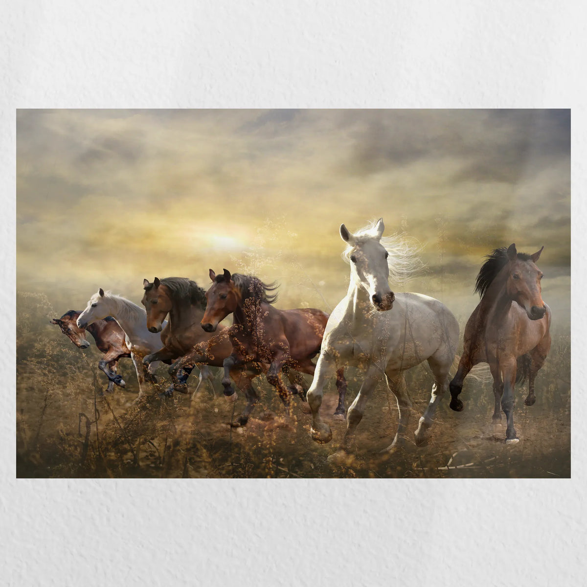 PO-030W020